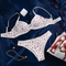 Sexy Ultra-Thin Transparent Mesh 2 PCS Bra and Panty Set New Style Wholesale Woman's Lingerie