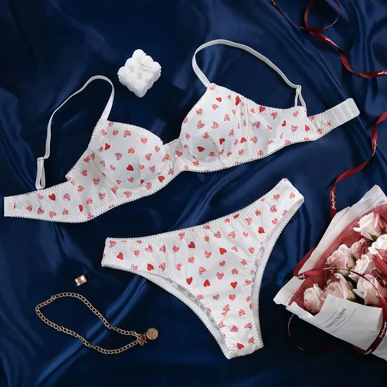 Sexy Ultra-Thin Transparent Mesh 2 PCS Bra and Panty Set New Style Wholesale Woman's Lingerie
