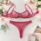 Sexy Women Newest Underwear Set Hot Transparent Mesh Leopard Print Lingerie