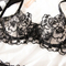 Wholesale Luxury Embroidered See-Through Underwear Set Sexy V-Neck Push up Lingerie