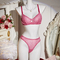 Wholesale Transparent Leopard Print Two-Piece Bra Set Sexy Thin Woman Lingerie
