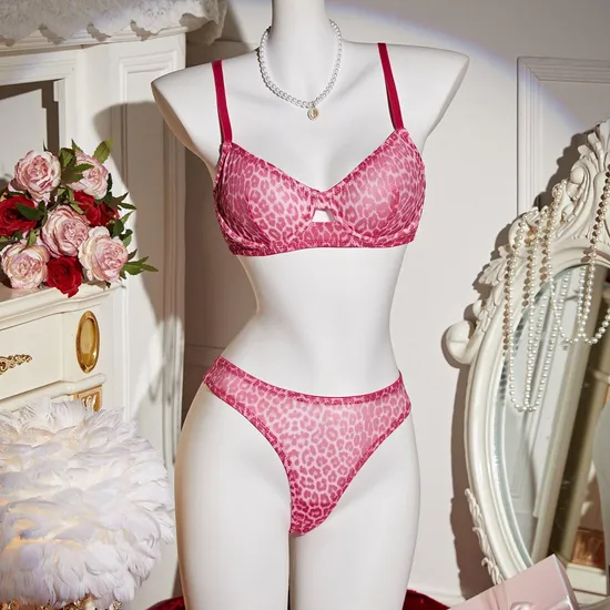 Wholesale Transparent Leopard Print Two-Piece Bra Set Sexy Thin Woman Lingerie