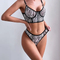 Sexy Fish Bone Contrast Zebra Woman Bra and Thong Set Hot Selling See-Through Mesh Lingerie