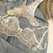 Wholesale French Sexy Ultra-Thin Lace Bra Set for Women Underwear Lingerie