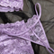 Wholesale Embroidered Lace Underwear Set for Woman Sexy Elegant Short Skirt Lingerie