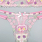 Wholesale Floral Embroidery See-Throug Underwear Set for Woman Sexy Fishbone Lingerie