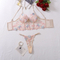 Wholesale Ultra Thin Mesh See Through Underwear Set for Woman Sexy Fishbone Lingerie