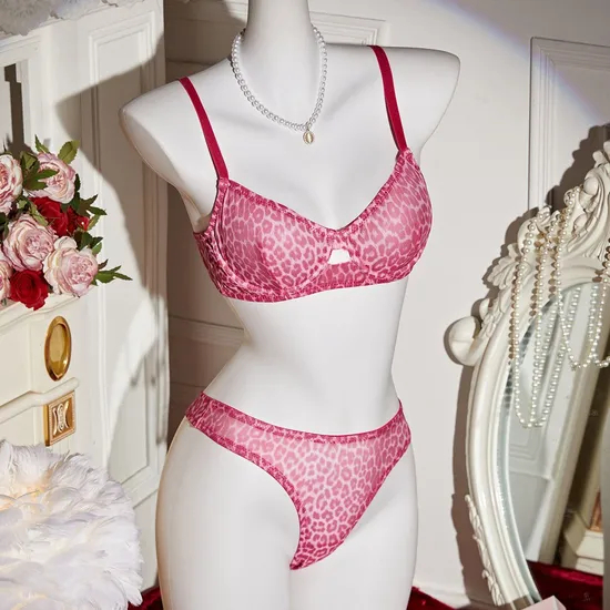 Wholesale Transparent Leopard Print Two-Piece Bra Set Sexy Thin Woman Lingerie