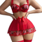 Sexy Embroidery Underwear Set for Woman Wholesale Perspective Mesh Lingerie
