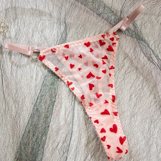 Sexy See-Through Women Bra Set with Embroidery New Red Heart Pattern Lingerie Set