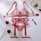 Sexy See-Through Mesh Women Bra Set Hot Selling V-Neck Embroidered Lace Lingerie