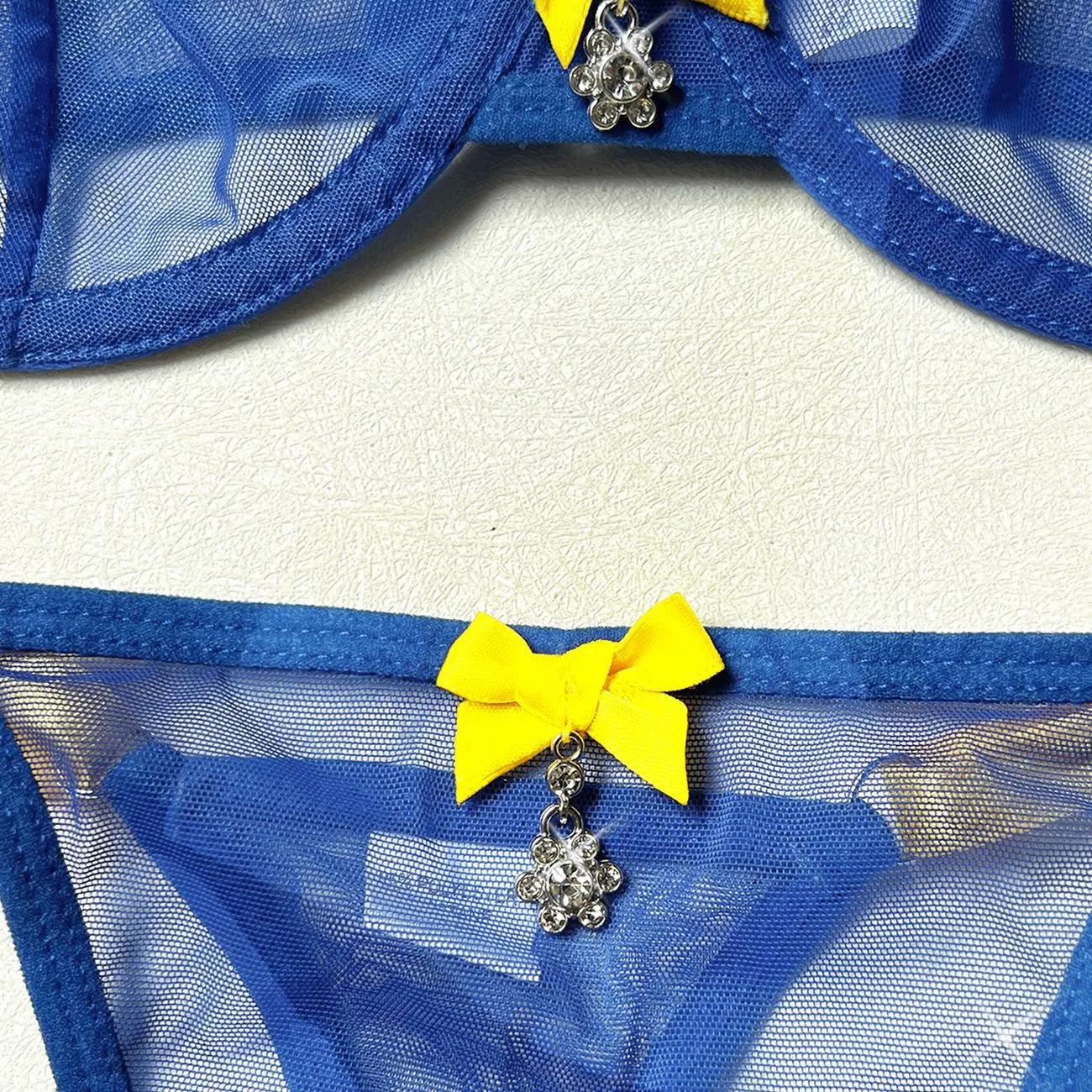 Wholesale Transparent Mesh Underwear Set for Woman Sexy Contrast Color 2PCS Lingerie