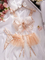Hot Style Chain Transparent Mesh Woman Bra Panty Set Sexy Embroidered Lace Skirt Lingerie