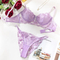 Woman See-Through Deep V Bra and Panty Set Sexy Erotic Embroidery Lingerie