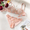 Hot Selling Embroidered Floral Lace Bra and Panty Set Sexy See-Through Mesh Woman Lingerie