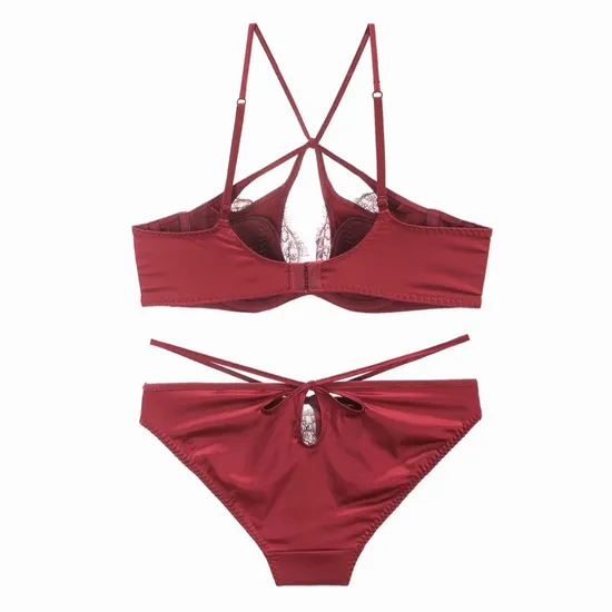 Wholesale French Style Transparent Eyelash Lace Sexy Breathable Satin Ultra-Thin Lingerie for Women Gathering Bra Set Underwear