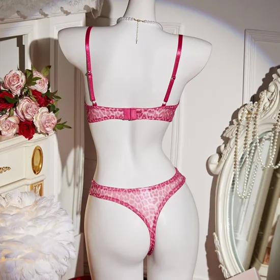 Wholesale Transparent Leopard Print Two-Piece Bra Set Sexy Thin Woman Lingerie