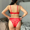 Hot Sell French Flocking Embroidery Lace Ultra-Thin Romantic Seduction for Women Soft Sexy Underwear Bra Set Lingerie