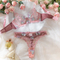 New Design Ultra-Thin Floral Embroidery Underwear Set Sexy Woman 2 Piece Lingerie