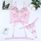 Wholesale Embroidered Floral Fish-Bone Woman Underwear Set Sexy See-Through Cross Strap Lingerie