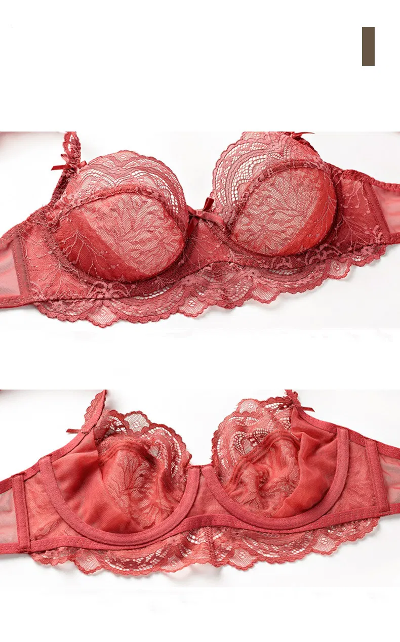 Hot Sell for Women Ultra-Thin Hollowed-out Underwear Transparent Lace Bra Set Sexy Lingerie