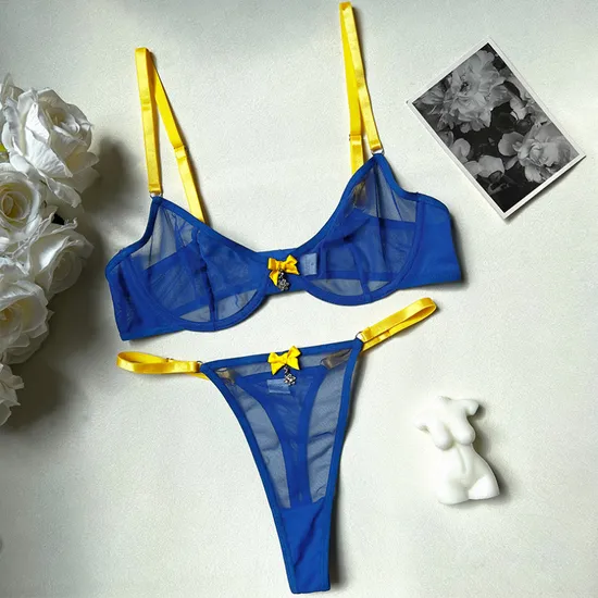 Wholesale Transparent Mesh Underwear Set for Woman Sexy Contrast Color 2PCS Lingerie