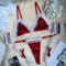 Sexy Woman's Christmas Underwear Set with Wristband and Garter Wholesale Wireless Lingerie