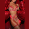 Wholesale Heart-Shaped Embroidery Woman Underwear Set New Erotic Transparent Lingerie
