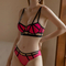 High Quality Women's Underwear Push up Bra and Panties Set Thick Cup Lingerie