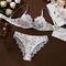 Wholesale Sheer Embroidered Lace Thin Bra Set Sexy Flower Print Woman 2PCS Lingerie