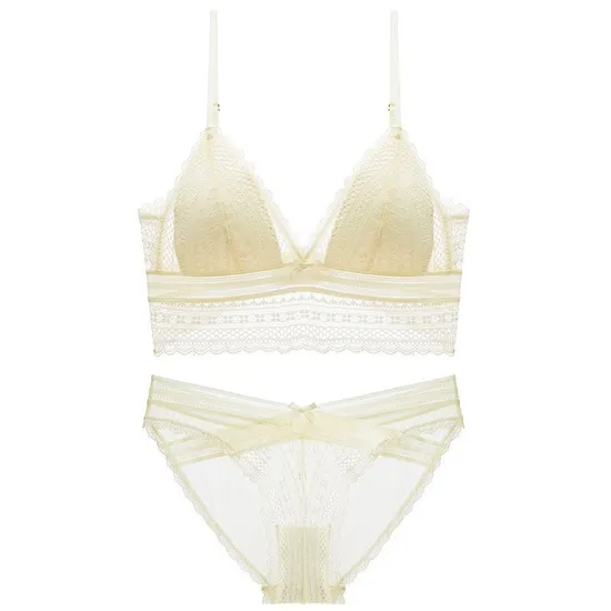 Hot Sell Sexy French Ultra-Thin Set U-Shaped Backless Lace for Women Bra Underwear Lingerie