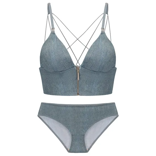French Wholesale Light-Sensitive Surface Fine Shoulder Strap Front Buckle Triangular Cup Bra Underwear Set Sexy Lingerie