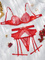 New Arrival Erotic Embroidered Lace Bra Set Sexy See-Through Woman Lingerie