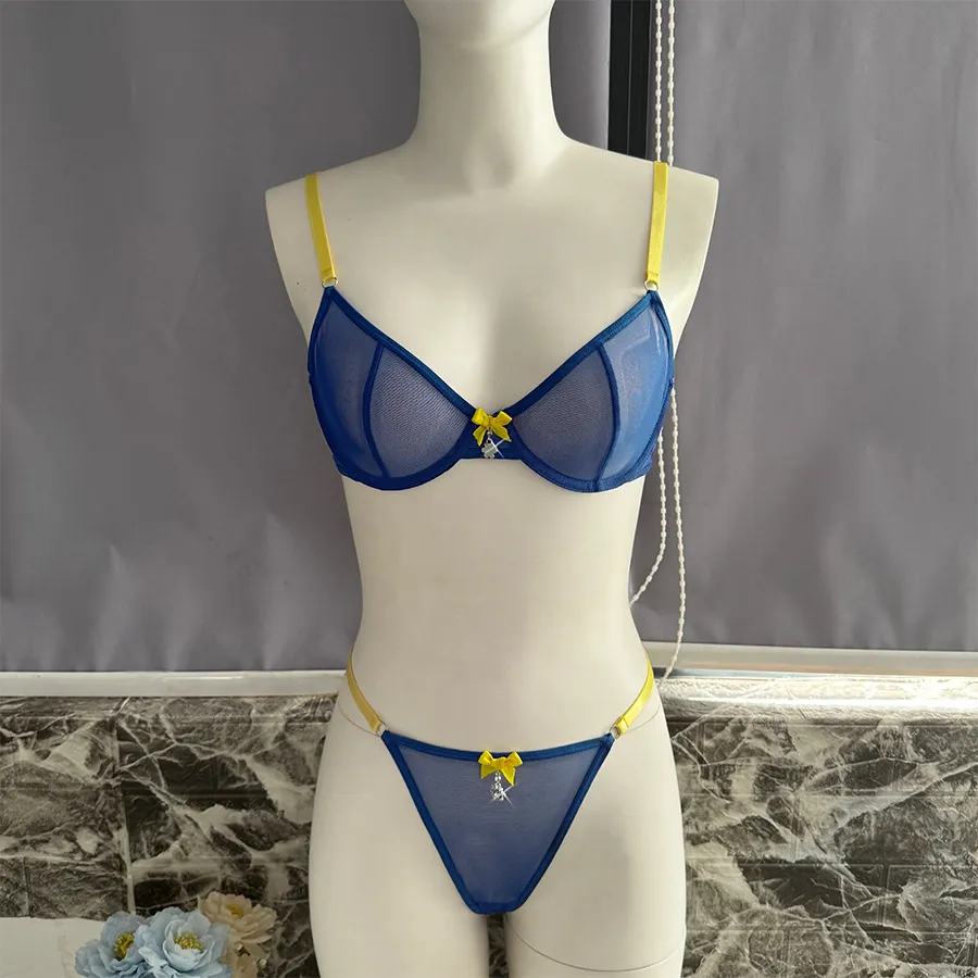 Wholesale Transparent Mesh Underwear Set for Woman Sexy Contrast Color 2PCS Lingerie