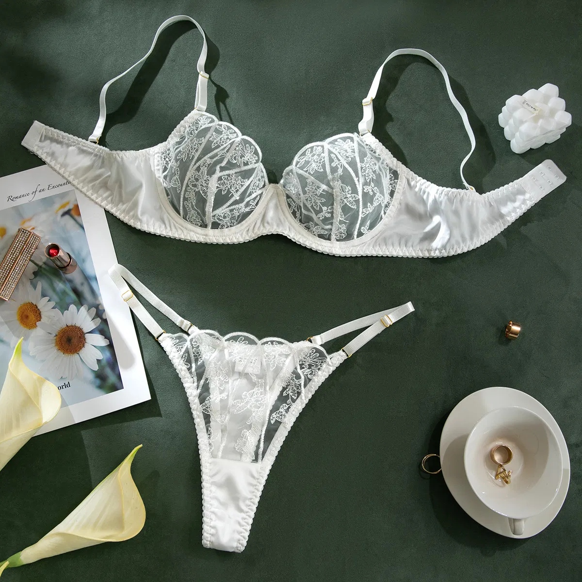 Wholesale Big Size Transparent Mesh Bra Brief Set Sexy Embroidered Sheer Woman Lingerie