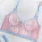 Factory Sell Fish-Bone Thin Perspective Mesh Bra Set Sexy High Quality Two Piece Woman Lingerie