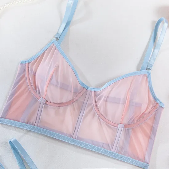 Factory Sell Fish-Bone Thin Perspective Mesh Bra Set Sexy High Quality Two Piece Woman Lingerie