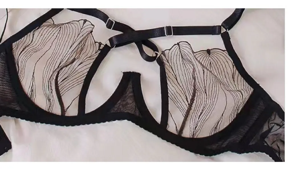 New Erotic Underwear Ultra-Thin Set Transparent Lace for Women Temptation Bra Sexy Lingerie