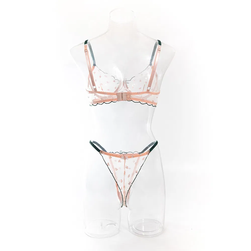 Wholesale Contrast Color Thin Woman Bra Set Sexy Transparent Mesh Thin Woman Lingerie
