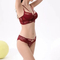 New Style French Transparent Embroidery Lace Trim Breathable Ultra-Thin for Women Soft Bra Underwear Sexy Lingerie Set