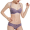 Hot Sell French Ultra-Thin Transparent Lace Bra Set Underwear Lingerie