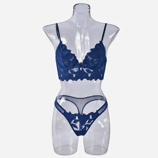 Wholesale French Deep V Embroidery Patchwork Mesh Lace Ultra-Thin Bra Set Underwear Sexy Lingerie