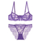 Sexy Ultra-Thin Temptation Underwear Bra Set Lingerie for Women French Lace Lingerie