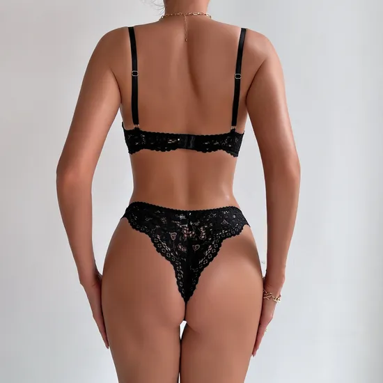 Sexy High Quality Embroidered Lace Women Bra Set New Style See-Through 2 Piece Lingerie