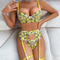 Sexy Lemon Embroidery Woman Bra Panty Set Wholesale Mesh Transparent Lingerie