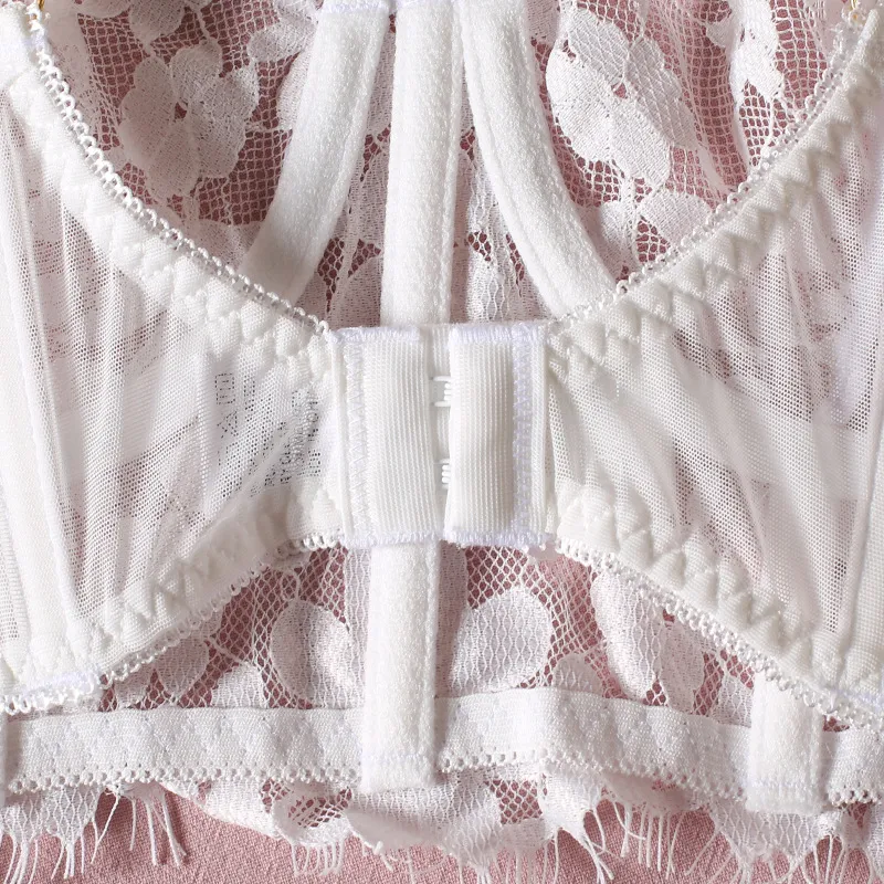 Sexy Fish Bone Embroidery Lace Underwear Wholesale Woman's Lingerie