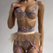 Sexy See-Through Mesh Small Skirt Bra and Panties Set Wholesale Embroidery Lace Lingerie
