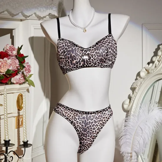 Wholesale Transparent Leopard Print Two-Piece Bra Set Sexy Thin Woman Lingerie