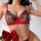 French Ultra-Thin Embroidered Hollow out See-Through Mesh Underwear Set Bra Sexy Lingerie