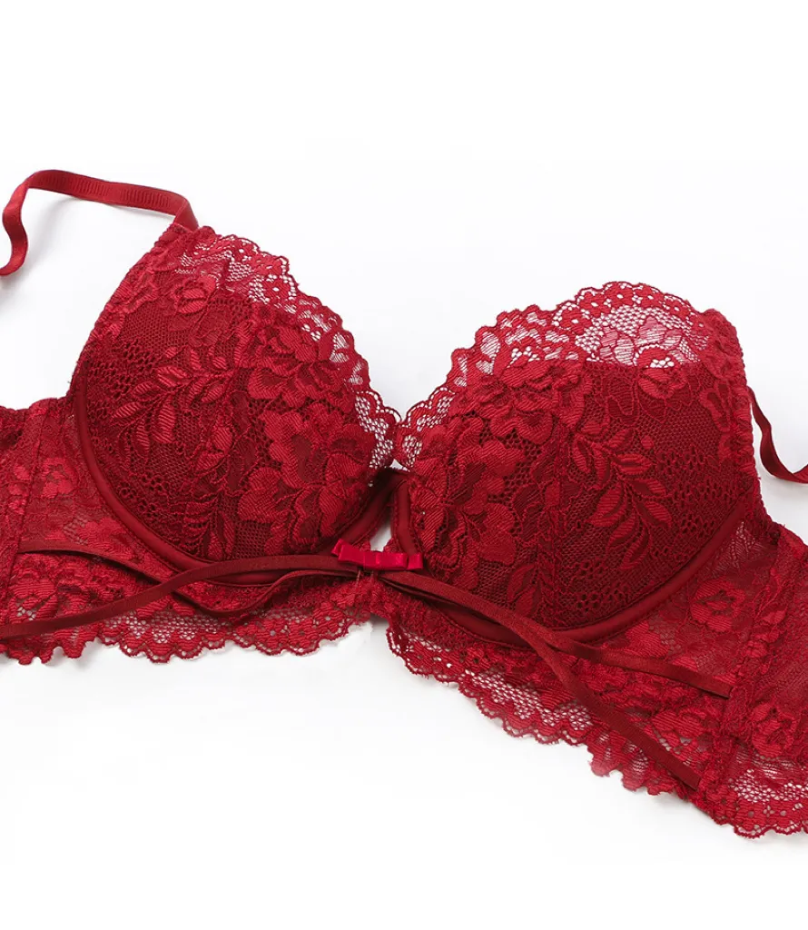 2025 New French Wholesale Embroidery Lace Trim Sexy Breathable Bra Ultra-Thin Halter Neck Set Underwear Lingerie